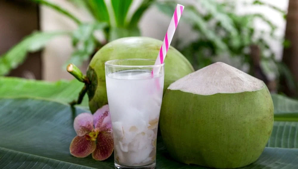 हरा नारियल पानी पीने के फायदे